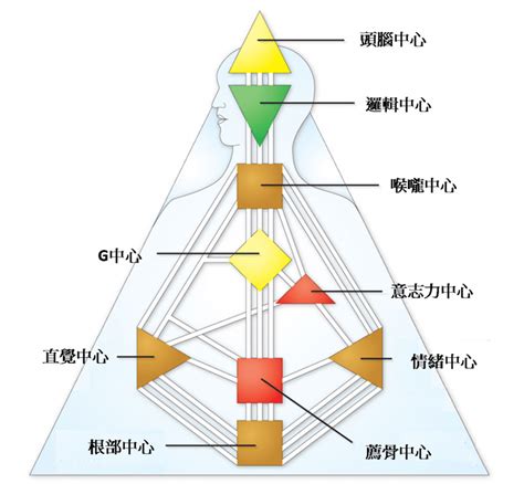 情緒主義